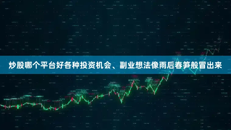 炒股哪个平台好各种投资机会、副业想法像雨后春笋般冒出来