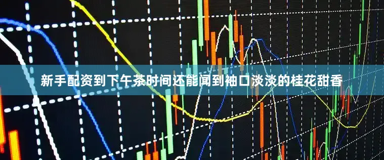 新手配资到下午茶时间还能闻到袖口淡淡的桂花甜香